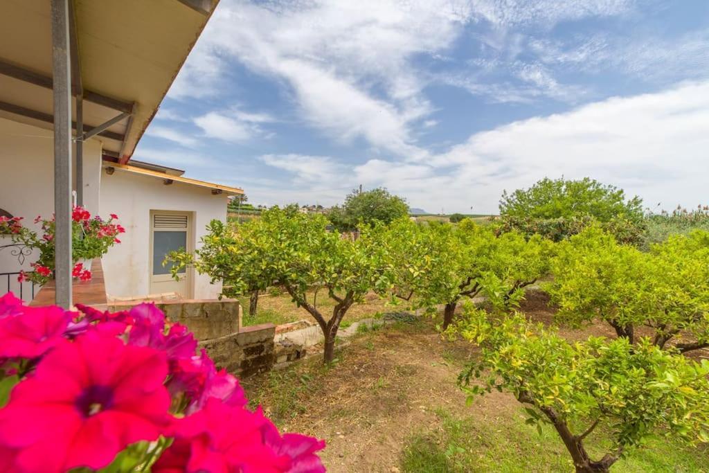 Villa Casa Daila Menfi Esterno foto